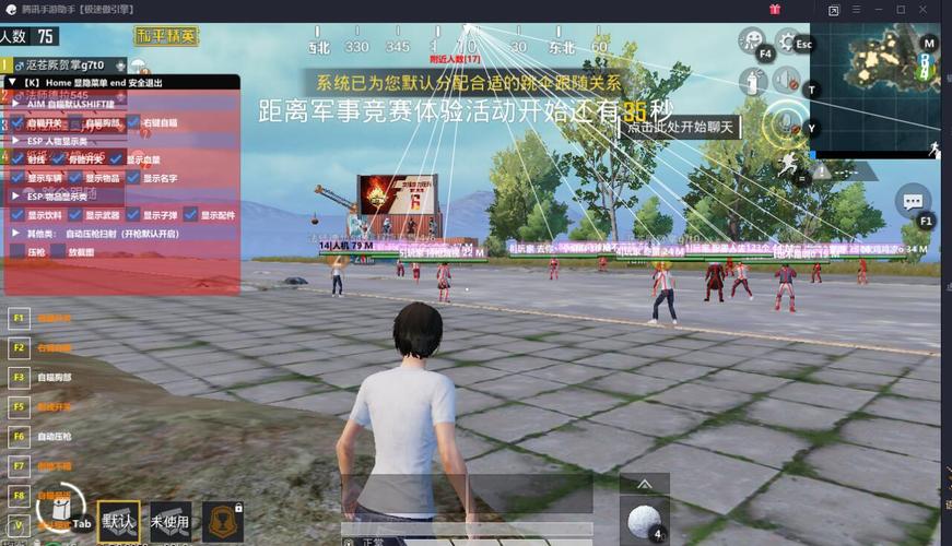 和平精英辅助【彩虹】