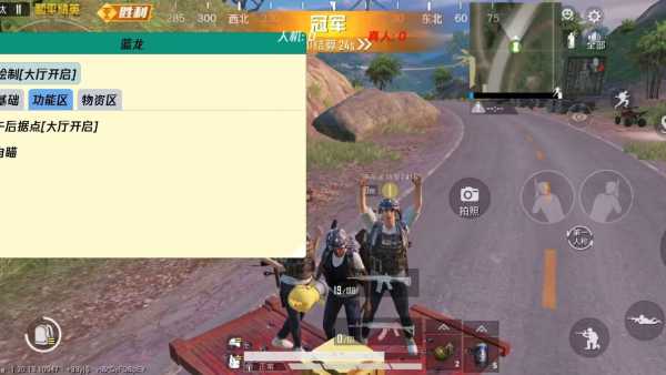 和平精英辅助得类型分为那些